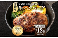 生ハンバーグ120g×12個 常陸牛 100％ 【6ヶ月連続お届け】 518