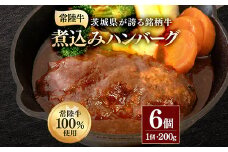 煮込みハンバーグ 200g×6個 茨城県 ブランド牛 常陸牛 使用 520