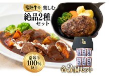 絶品 グルメ 2種セット ハンバーグ ビーフシチュー 各3セット 茨城県 ブランド牛 常陸牛 使用 524