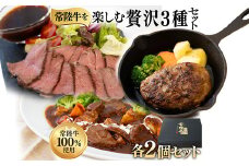 絶品 グルメ 3種セット ローストビーフ ハンバーグ ビーフシチュー 各2セット 茨城県 ブランド牛 常陸牛 使用 525