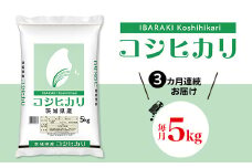 532 こしひかり 5kg 定期便 【3カ月連続お届け】