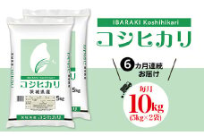 534 こしひかり 10kg 定期便 【6カ月連続お届け】