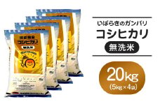 555 無洗米 こしひかり 20kg 5kg × 4袋 全農 茨城 パールライス 無洗コシヒカリ 令和6年