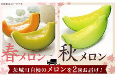 371 メロン 定期便 春メロン 秋メロン 人気 食べ比べ フルーツ 先行予約 数量限定 2回 お届け メロン好き 集合