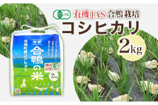 569 コシヒカリ 2kg ファームランドさいとう