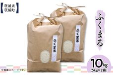 602 茨城県産ふくまる 10kg(5kg×2袋)【株式会社桝味】