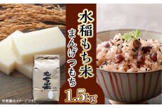 605 水稲もち 1升 1.5kg