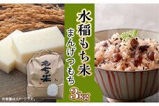 606 水稲もち 2升 3kg