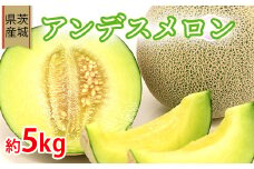 608 アンデスメロン【秀品】約5kg（3～5玉） フルーツ 茨城 茨城県産 人気 果物 メロン 【事業者：小島 正幸】