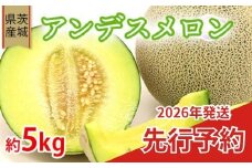 608 アンデスメロン【秀品】約5kg（3～5玉）先行予約 フルーツ 茨城 茨城県産 人気 果物 メロン 【事業者：小島 正幸】