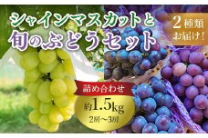 632 旬のぶどう詰め合わせ1.5kg(シャインマスカットと旬のぶどうセット) 先行予約 【奥谷農園】