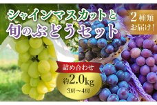 633 旬のぶどう詰め合わせ2.0kg(シャインマスカットと旬のぶどうセット) 先行予約 【奥谷農園】