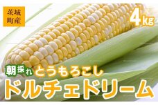 641 とうもろこし ドルチェドリーム 10本 (約4kg)【岩崎農園】
