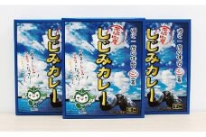 004茨城町産しじみカレー３パックセット