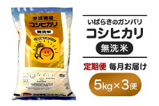 157 無洗米 コシヒカリ 5kg 定期便 令和6年 茨城県産【3ヵ月連続お届け】