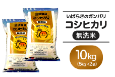 152 無洗米 コシヒカリ 10kg 5kg × 2袋 令和6年 茨城県産