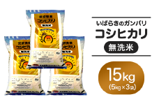 153 無洗米 コシヒカリ 15kg 5kg × 3袋 令和6年 茨城県産