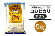 151 無洗米 コシヒカリ 5kg 令和6年 茨城県産