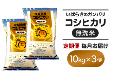 158 無洗米 コシヒカリ 10kg 定期便 令和6年 茨城県産【3ヵ月連続お届け】