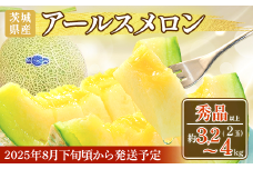 177 アールスメロン 秀品 2玉 約3.2kg～4kg 茨城県 JA水戸産 めろん 果物 フルーツ 先行予約 2025年8月下旬頃より発送予定