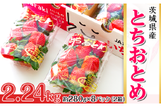 200茨城県産いちご「とちおとめ」2.24kg（2箱8パック）【2025年1月中旬頃～3月下旬頃発送予定】