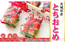 200茨城県産いちご「とちおとめ」2.08kg（2箱8パック）【2026年1月中旬頃～3月下旬頃発送予定】
