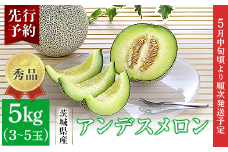 082-1 アンデスメロン 秀品 3~5玉 約5kg 茨城県 JA水戸産