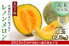213 レノンメロン 秀品 大玉 2玉 約2.5kg 茨城県 JA水戸産 めろん 赤肉 先行予約 2025年5月中旬頃より発送予定