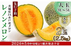 213 レノンメロン 秀品 大玉 2玉 約2.5kg 茨城県 JA水戸産 めろん 赤肉 先行予約 2026年5月中旬頃より発送予定
