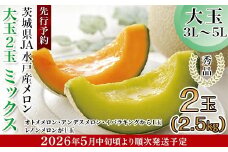 214茨城県JA水戸産メロン【秀品】大玉2玉ミックス(2.5kg)【2026年5月中旬頃より発送予定】
