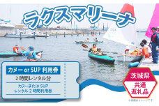 62-2【茨城県共通返礼品/土浦市】カヌーまたはSUPレンタル2時間利用券