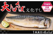 497【茨城県共通返礼品/神栖市】大トロさば文化干し