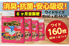 304【6ヶ月連続お届け】定期便 6回 消臭シート ダブルストップ ワイド 40枚×4袋 クリーンワン ペットシーツ 犬用 消臭 抗菌 炭シート ペットシート