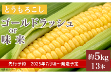 325 とうもろこし ゴールドラッシュ or 味来 約5kg 13本 朝採れ 黄 茨城 先行予約 2025年7月頃～発送予定
