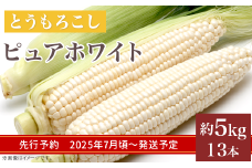 326 とうもろこし ピュアホワイト 約5kg 13本 朝採れ 白 茨城 先行予約 2025年7月頃～発送予定