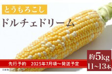 324 とうもろこし ドルチェドリーム 約5kg 11～13本 朝採れ バイカラー 黄 白 茨城 先行予約 2025年7月頃～発送予定