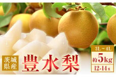 350 豊水梨 約5kg 12～14玉 3L～4L 梨 なし 【先行予約 2025年 8月下旬ころより順次発送予定】