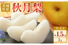 353 秋月梨 約1.5kg 3玉 5L 大玉 梨 なし あきづき 【先行予約 2025年 9月中旬ころより順次発送予定】