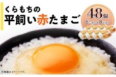 356 たまご 48個 8パック 小分け 新鮮 赤 玉子 卵 タマゴ