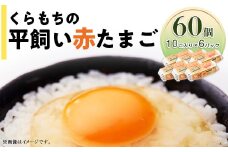 357 たまご 60個 6パック 小分け 新鮮 赤 玉子 卵 タマゴ
