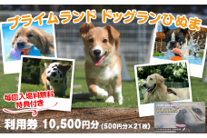 358 プライムランド ドッグランひぬま 利用券 10,500円分 毎回入場料無料特典付き