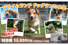 360 プライムランド ドッグランひぬま 利用券 35,000円分 毎回入場料無料特典付き