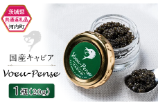 384 国産キャビア VoeuPense 【茨城県共通返礼品/河内町】