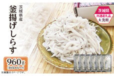 388 釜揚げしらす 約960g(約160g × 6パック)【茨城県共通返礼品/大洗町】