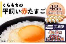 457 たまご 48個 8パック 定期便 12カ月 計576個 小分け 新鮮 赤 玉子 卵 タマゴ くらもちの農場 平飼い