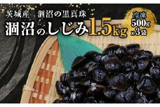 452 しじみ 冷凍 砂抜き 1.5kg 500g × 3袋 ひぬま やまと シジミ 涸沼 大和