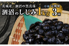 453 しじみ 定期便 1kg 冷凍 砂抜き 500g × 2袋 × 3回 ひぬま やまと シジミ 涸沼 大和 【3ヶ月連続お届け】