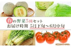 657 茨城町 春の野菜セット メロン トマト きゅうり キャベツ みず菜