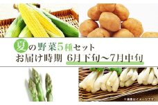 658 茨城町 夏の野菜セット とうもろこし じゃがいも エシャロット 小松菜 アスパラガス																				