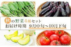 659 茨城町 秋の野菜セット メロン ほうれん草 トマト なす